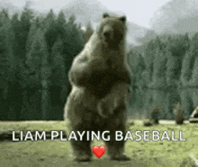 a bear is standing on its hind legs in a field with the words `` liam playing baseball '' .