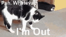 Cat Im Out GIF - Cat Im Out Bye GIFs