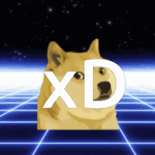 X D Doge GIF - X D Doge GIFs