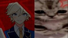a boy in a suit and tie next to a cat