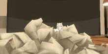 a pile of crumpled paper with a cat on top of it