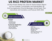 Us Rice Protein Market Size GIF - Us Rice Protein Market Size GIFs