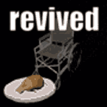 Revived Cat GIF - Revived Cat Cat Wheelchair GIFs