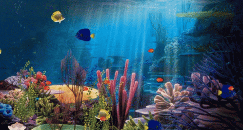 animated aquarium gif