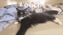 Ouch Cat GIF - Ouch Cat Ow GIFs