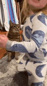 She'S Happy For Me Cat GIF - She'S Happy For Me Cat Cats GIFs