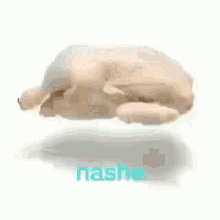 Nashe Aesthetic GIF - Nashe Aesthetic GIFs