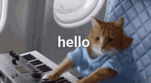 Hello Cat GIF - Hello Cat Kik GIFs