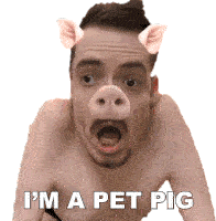 Im A Pet Pig Ricky Berwick Sticker - Im A Pet Pig Ricky Berwick I Am A Pig Stickers