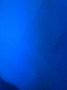 Bluey GIF - Bluey GIFs