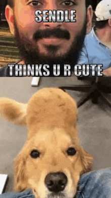 a picture of a man with a beard and a dog with the caption sendle thinks ur cute