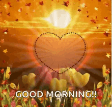 good morning hearts sun rise flowers