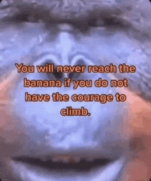 a monkey is smiling and says `` you will never reach the banana if you do not have the courage to climb ''