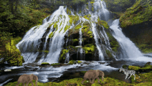 Waterfall Nature GIF - Waterfall Nature Zebra GIFs