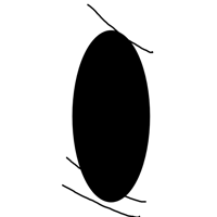a black and white drawing of an oval with a few lines going through it