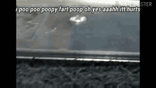 I Poopoo Farted GIF - I Poopoo Farted GIFs