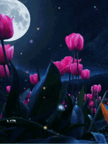 Moonlight Flowers GIF - Moonlight Flowers Tulips GIFs