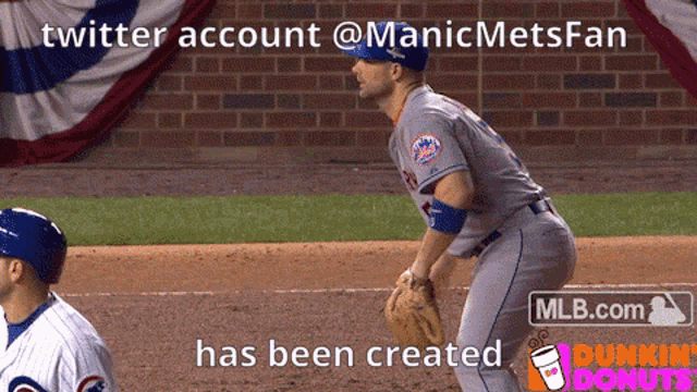 Manic Mets GIF - Manic Mets Fan GIFs