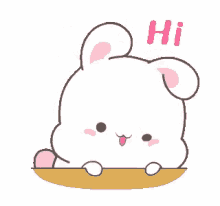 bunny cute kawaii hi hello