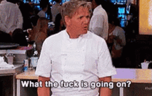 What The Wtf Is Going On GIF - What The Wtf Is Going On Gordon Ramsey GIFs
