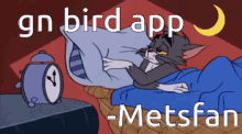 Gn Bird App Metsfan GIF - Gn Bird App Metsfan Goodnight GIFs