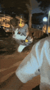 a cat is sitting on a person 's shoulder in front of a building that says ' john 's ' on it
