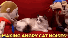 Sml Jeffy GIF - Sml Jeffy Angry Cat Noises GIFs
