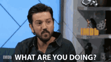 What Are You Doing Diego Luna GIF - What Are You Doing Diego Luna Confused GIFs