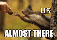 Almost There Squirrel GIF