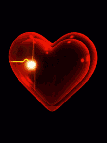 Heart Pulse Rate GIF - Heart Pulse Rate Pumping Heart GIFs