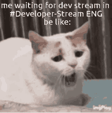 Yawning Cat Oki Dev Stream GIF - Yawning Cat Oki Dev Stream Oki Development Stream GIFs