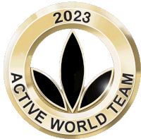 Awt2023 Active World Team Pin Sticker - Awt2023 Active World Team Pin Awt Stickers