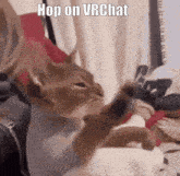 a cat with a red bow on its head is playing with a toy and the caption says hop on vrchat