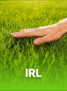 a person 's hand is touching a lush green field of grass with the word irl in the corner