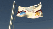 a flag with a drawing of a person 's face on it
