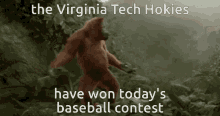 Hokies Baseball GIF - Hokies Baseball Virginia Tech GIFs