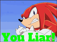 Sonic X Knuckles GIF - Sonic X Knuckles You Liar GIFs