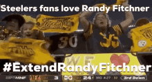 Steelers Fans GIF - Steelers Fans GIFs