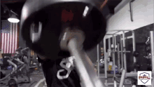 Dumbell Working Out GIF - Dumbell Working Out Work Out GIFs