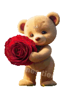 a teddy bear is holding a red rose with the letters ac on its head