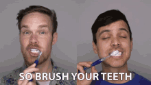 So Brush Your Teeth Gregory Brown GIF - So Brush Your Teeth Gregory Brown Mitchell Moffit GIFs