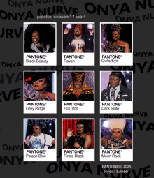 onya nurve palette season 17 top 4 is shown