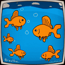 a cartoon of goldfish swimming in a tank with the words breathe below them