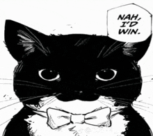 Uni Cat GIF - Uni Cat Nah Id Win GIFs