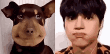 ateez wooyoung jung wooyoung dog bit by snake l tboysan