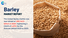 Barley Market Report 2024 GIF - Barley Market Report 2024 GIFs