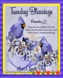 a tuesday blessings card with proverbs 3 and 5 on it