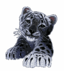 tiger cub sparkles glittery glitter graphics glitter tiger cub
