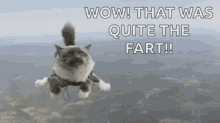 Cat Flying GIF - Cat Flying Wow That Was Quite The Fart GIFs