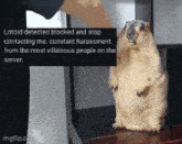 a squirrel is standing in front of a sign that says lotold detected blocked and stop